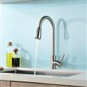 Concordia Brushed Nickel Single Handle Kitchen Sink Faucet with Pull Down Sprayer
