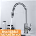 Kitchen Sink Faucet with Pull Out Sprayer