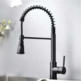 Kitchen Sink Faucet with Pull Out Sprayer