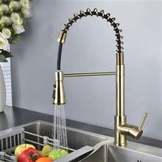 Kitchen Sink Faucet with Pull Out Sprayer