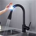 Black Kitchen Faucet Luxury Pull Out Sprayer