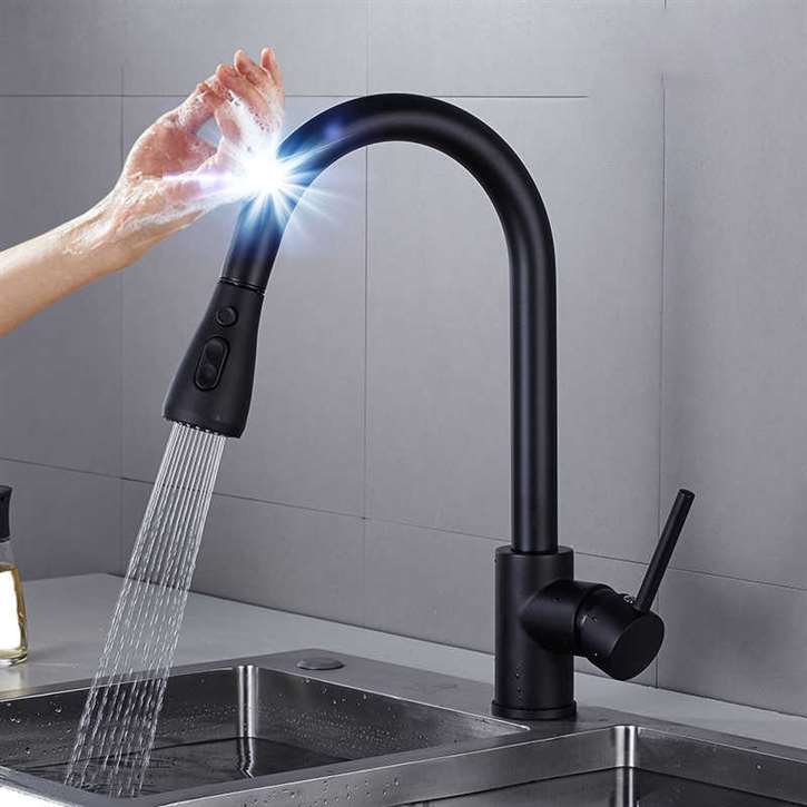 Black Kitchen Faucet Luxury Pull Out Sprayer