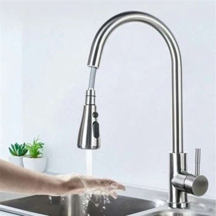 Kitchen Sink Faucet with Pull Out Sprayer