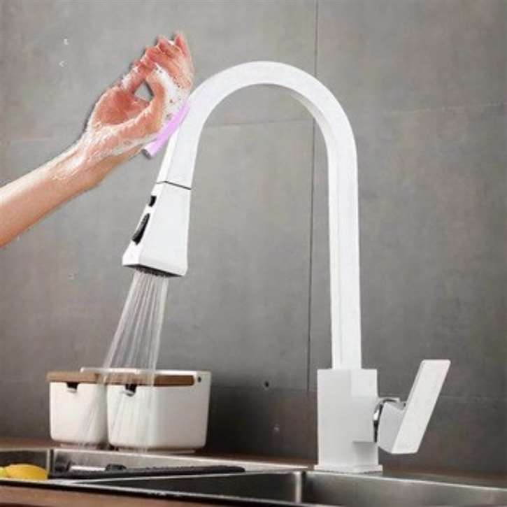 Kitchen Sink Faucet with Pull Out Sprayer