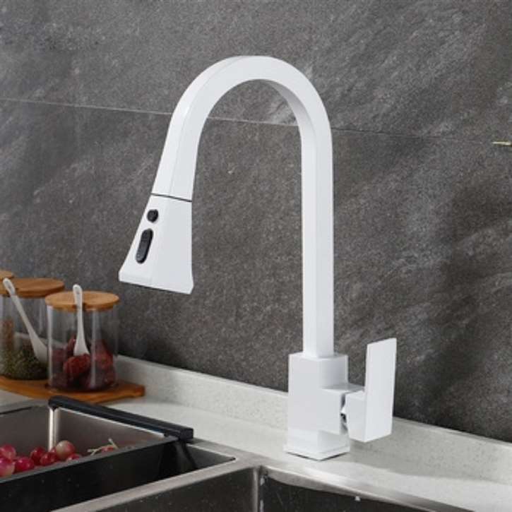 Kitchen Sink Faucet with Pull Out Sprayer