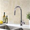 Fontana Banes Ceramic Disc Sink Designer Faucet