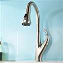 Moa Brushed Nickel Kitchen Sink Faucet || Bath And Body Moa