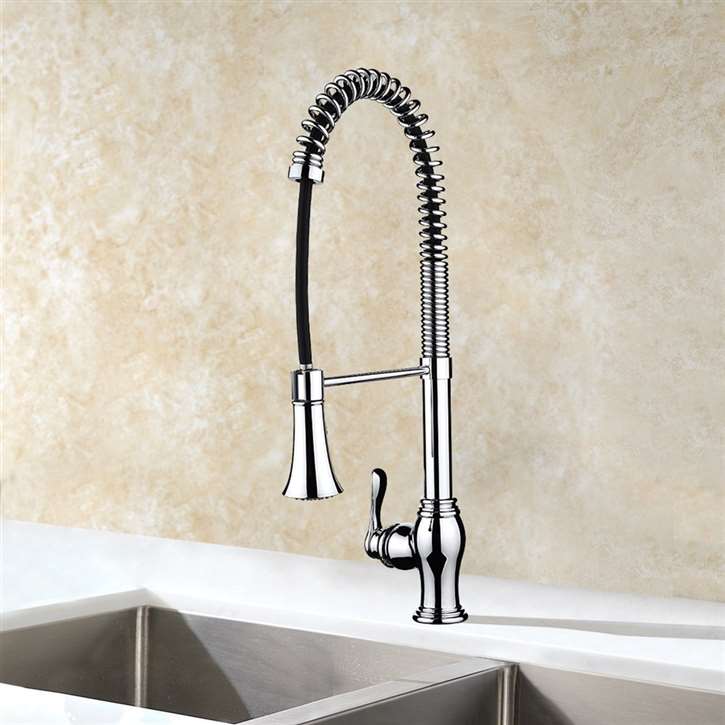 Campania Chrome Single Handle Kitchen Sink Faucet with Pull Down Sprayer