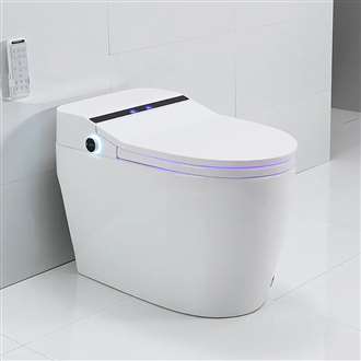 Fontana Gubbio LED Automatic Intelligent Toilet