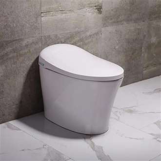 Fontana Procida Remote Controlled  Smart Toilet