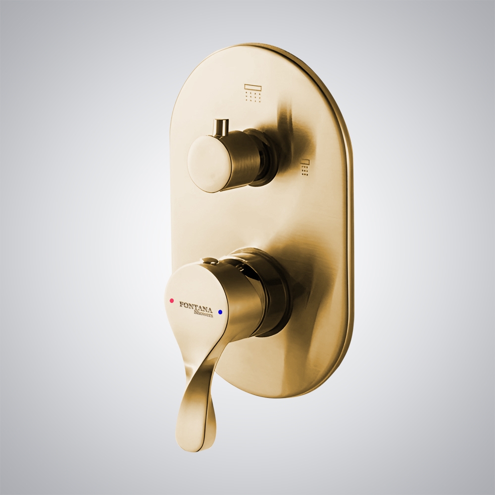Concealed Design Brushed Gold Wall Mounted Shower Mixer
