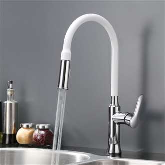 Avellino Stainless Steel Single Handle Kitchen Faucet