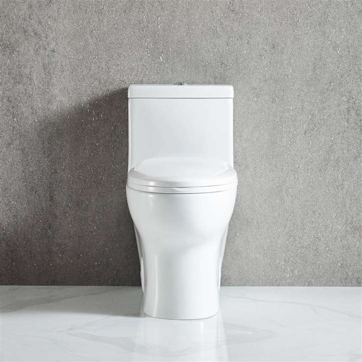 Fontana Alassio Dual Flash Modern Bathroom Toilet