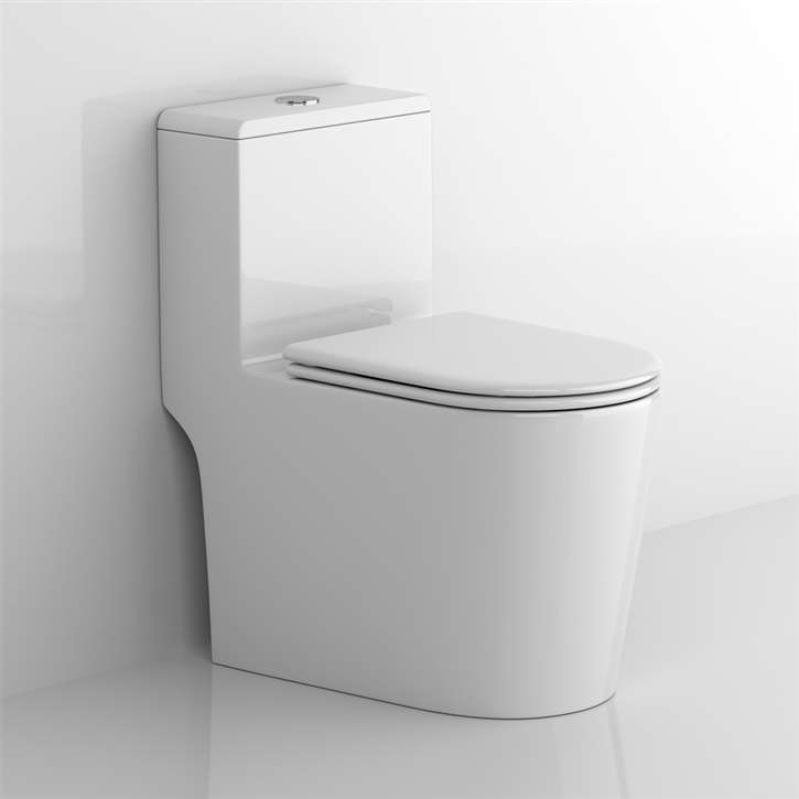 Fontana Volterra Dual Flush Smart Bathroom Toilet