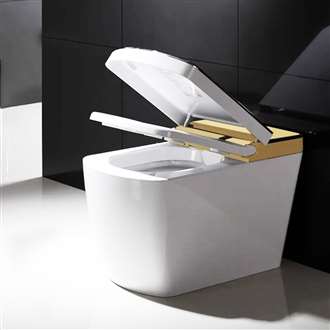 Fontana Imperia Intelligent Toilet With Voice Controlled