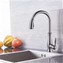 Lyon Brushed Nickel Pullout Kitchen Sink Faucet