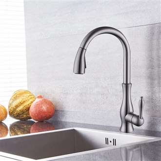 Lyon Brushed Nickel Pullout Kitchen Sink Faucet