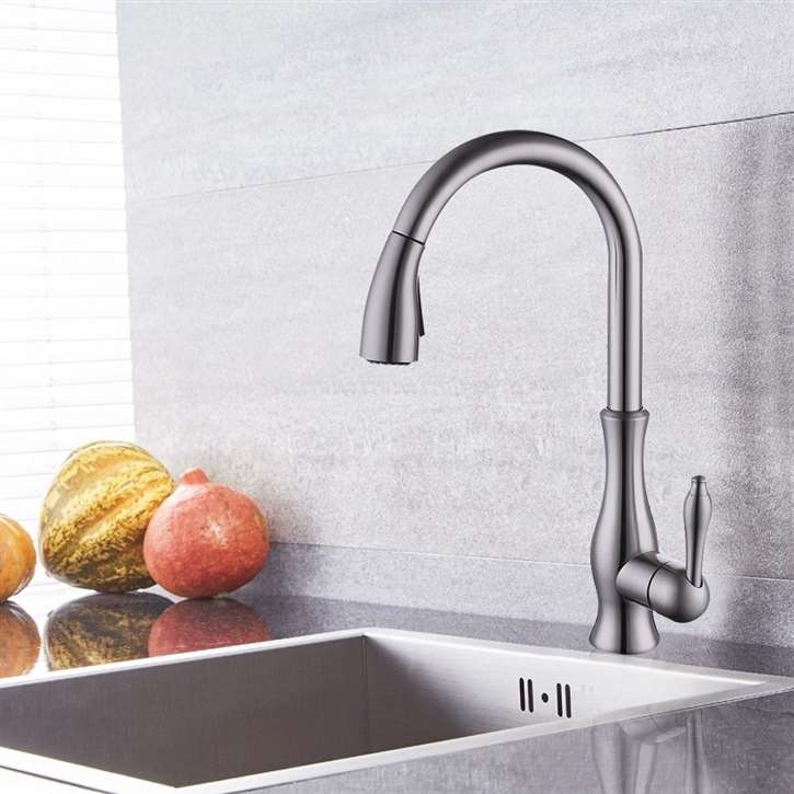 Lyon Brushed Nickel Pullout Kitchen Sink Faucet