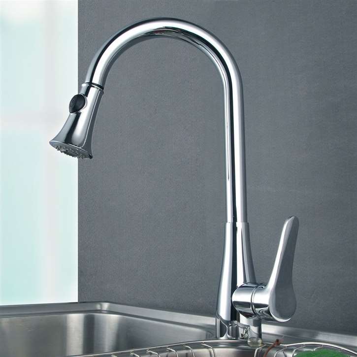 Aveiro Kitchen Sink Faucet with Pullout Sprayer