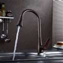 Sintra Kitchen Sink Faucet with Pullout Sprayer