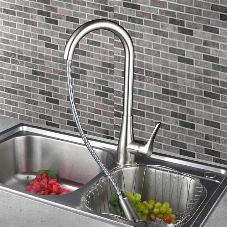 Agueda Kitchen Sink Faucet with Pullout Sprayer