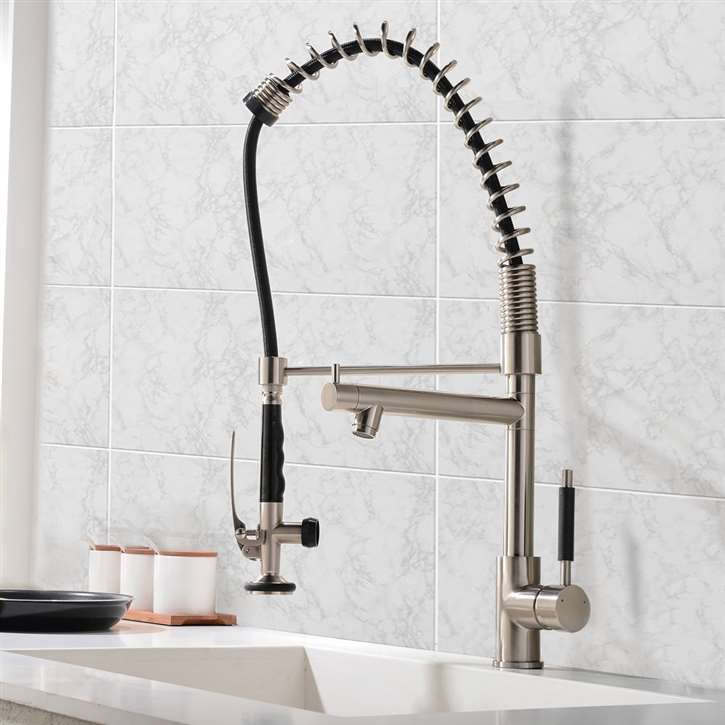 Florence Single Handle Kitchen Sink Faucet with Pull Out Sprayer