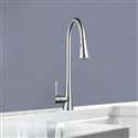 Napoli ABS Technology Pull Out Kitchen Faucet Replacement