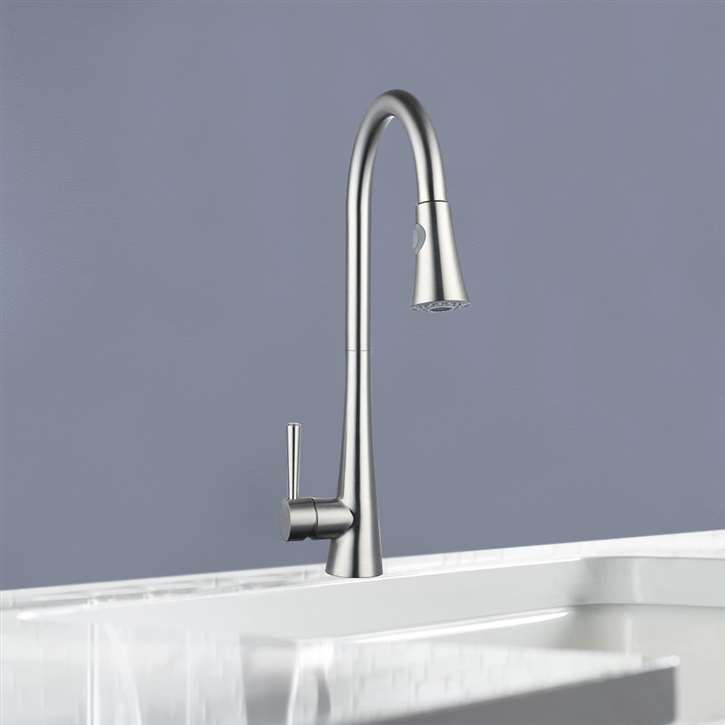 Napoli ABS Technology Pull Out Kitchen Faucet Replacement