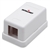 Surface Mount Box 1 Outlet, White