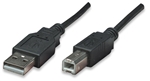 USB Device Cable A Male / B Male, Black, 1.8 m (6 ft.)