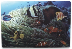 3-D Notebook Computer Skin Fits Most Widescreens To 15.4 in., Tropical Reef