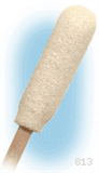 Foam Swab, 10 Swabs