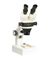 Prolite Stereo-Zoom 4.5 Microscope; Extra Large (22mm) 10X Eyepieces; 7 - 45x Standard (up to 270X with options)