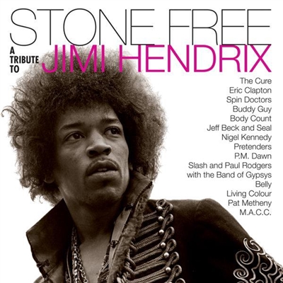 Jimi Hendrix Tribute - Stone Free: Jimi Hendrix Tribute (ROCKtober 2020 Exclusive) - VINYL LP