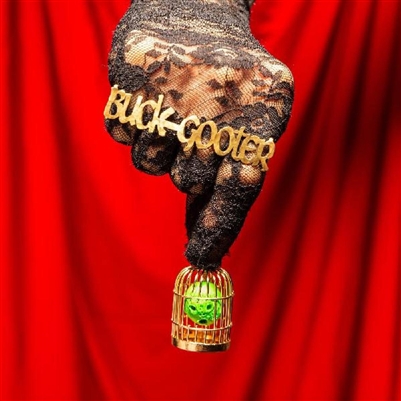 Buck Gooter - Head In A Bird Cage (ORANGE VINYL, INDIE EXCLUSIVE) - VINYL LP