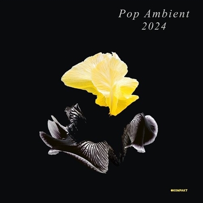 Various Artists - Pop Ambient 2024 - VINYL LP