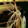 Sarah Kinsley - Escaper - VINYL LP
