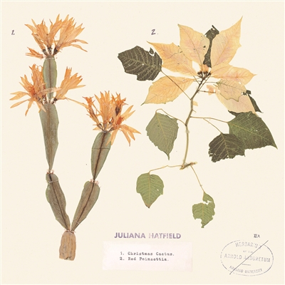 Juliana Hatfield - Christmas Cactus/Red Poinsettia (7" Vinyl) - VINYL LP