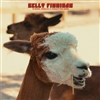 Kelly Finnigan - B-Sides, Singles & Forgotten Gems (Red Vinyl) - VINYL LP