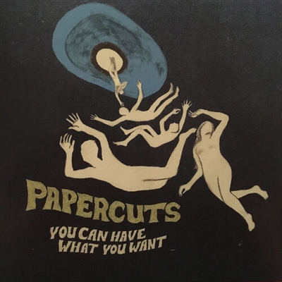 Papercuts - You Can Have What You Want - VINYL LP