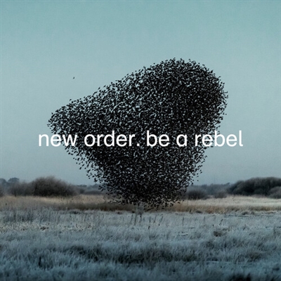 New Order - Be A Rebel (Grey colored Vinyl) - VINYL LP