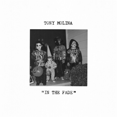 Tony Molina - In The Fade - VINYL LP