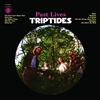 Triptides - Past Lives - VINYL LP