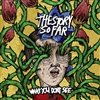 The Story So Far - What You Don't See - VINYL LP