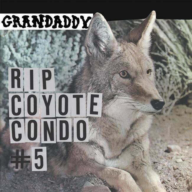 Grandaddy - "RIP Coyote Condo #5" b/w " "The Fox in the Snow" & "In My Room" (12" Vinyl) - VINYL LP