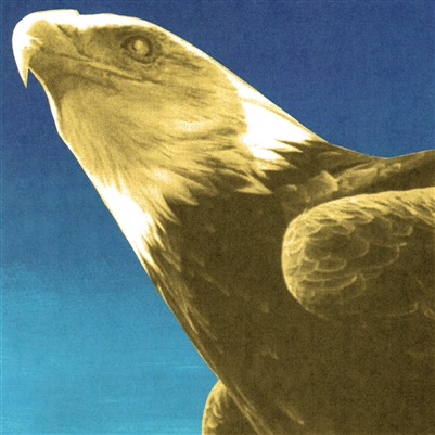 Protomartyr - Hotel Usona - VINYL LP