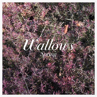 Wallows - Spring (Pink & Green Vinyl) - VINYL LP