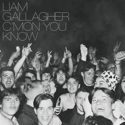 Liam Gallagher - C'mon You Know - VINYL LP