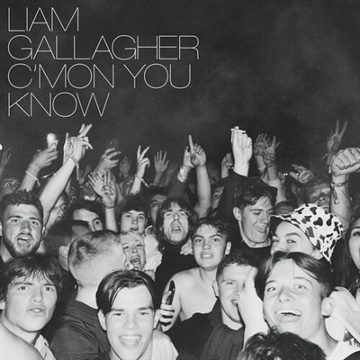 Liam Gallagher - C'mon You Know - VINYL LP