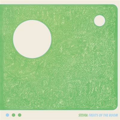 Stevia AKA Susumu Yokota - Fruits of the Room - VINYL LP